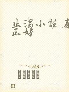 止渴小说 春光正好