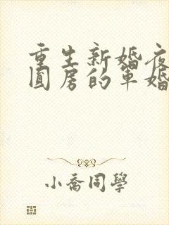 重生新婚夜正在圆房的军婚