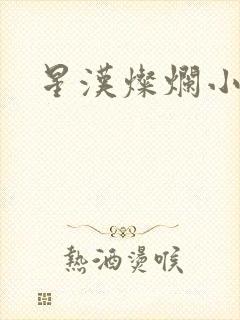 星汉灿烂小说