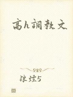 高h调教文