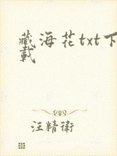 藏海花txt下载封面