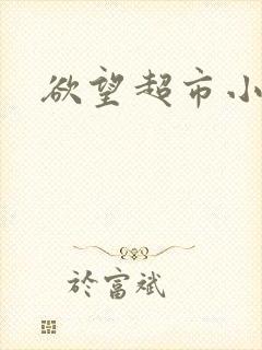 欲望超市小说
