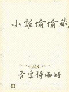 小说偷偷藏不住