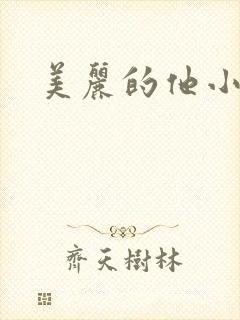 美丽的他小说