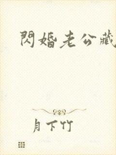 闪婚老公藏不住