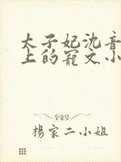 太子妃沈音和皇上的宠文小说