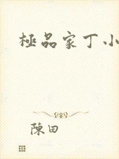 极品家丁小说