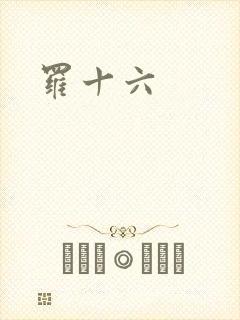 罗十六