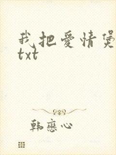 我把爱情煲成汤txt