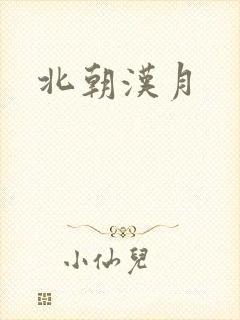 北朝汉月