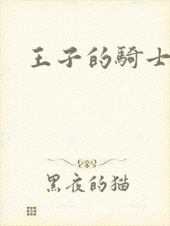 王子的骑士小说