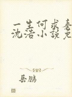 一生何求秦菲雪沈浩小说免费阅读全文