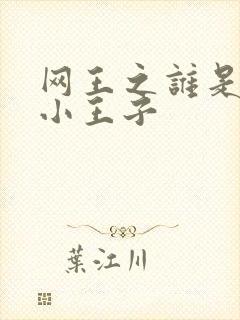 网王之谁是我的小王子