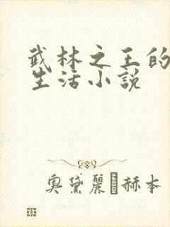 武林之王的退隐生活小说