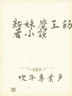 新妹魔王的契约者小说