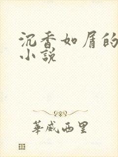 沉香如屑的原著小说封面