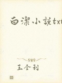 白洁小说txt