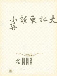 小说东北大炕全集