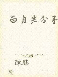 白月光分手日常