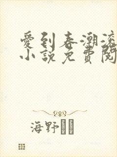 爱到春潮滚滚来小说免费阅读