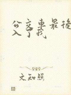 公交车最后一排入了我