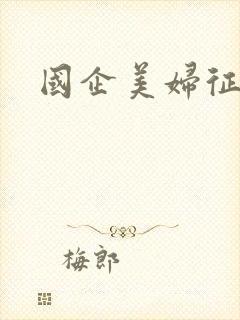 国企美妇征途