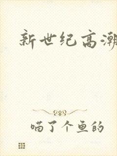 新世纪高潮战队