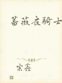 蔷薇夜骑士