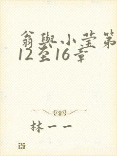 翁与小莹第十部12至16章