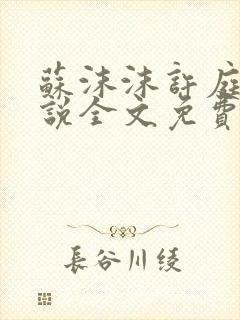 苏沫沫许庭川小说全文免费阅读封面