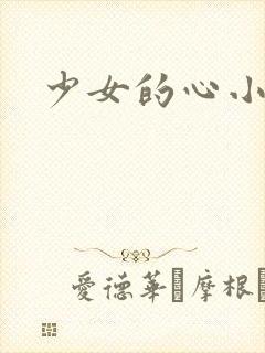 少女的心小说