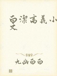 白洁高义小说全文