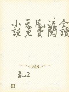 小天风流全集小说免费阅读