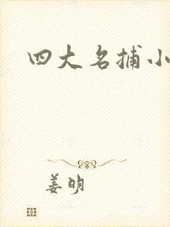 四大名捕小说