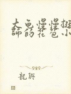 大龟慢慢挺进老师的花苞小说