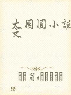 大团圆小说集全文