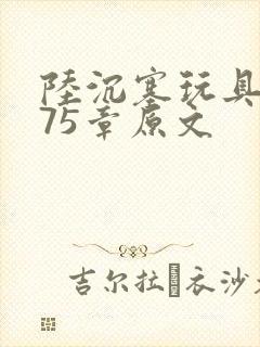 陆沉塞玩具高速75章原文