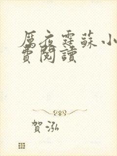 厉夜霆苏小汐免费阅读