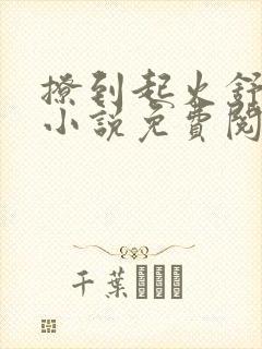 撩到起火舒漾的小说免费阅读全文