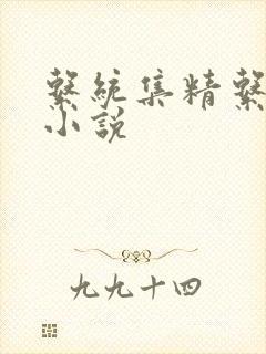 系统集精系统 小说