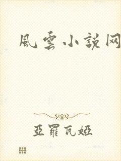 风云小说网