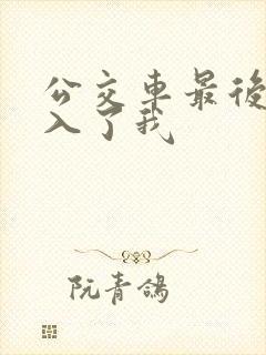 公交车最后一排入了我