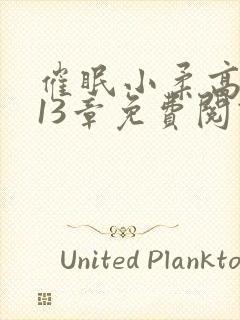 催眠小柔高达第13章免费阅读