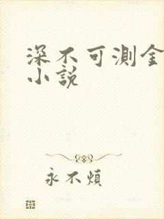 深不可测金银花小说