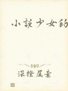 小说少女的心