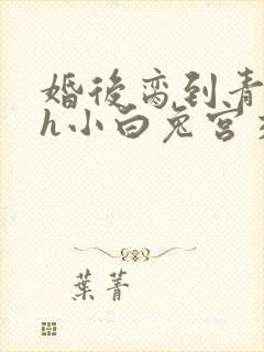 婚后脔到青梅哭h小白兔宫交h