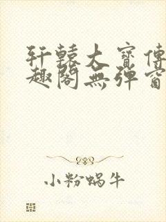 轩辕大宝传奇笔趣阁无弹窗