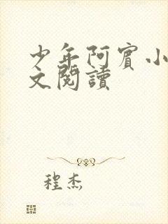 少年阿宾小说全文阅读