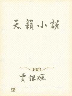 天籁小说
