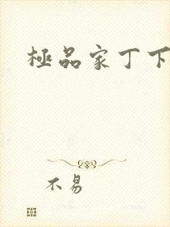 《极品家丁下载》小说封面